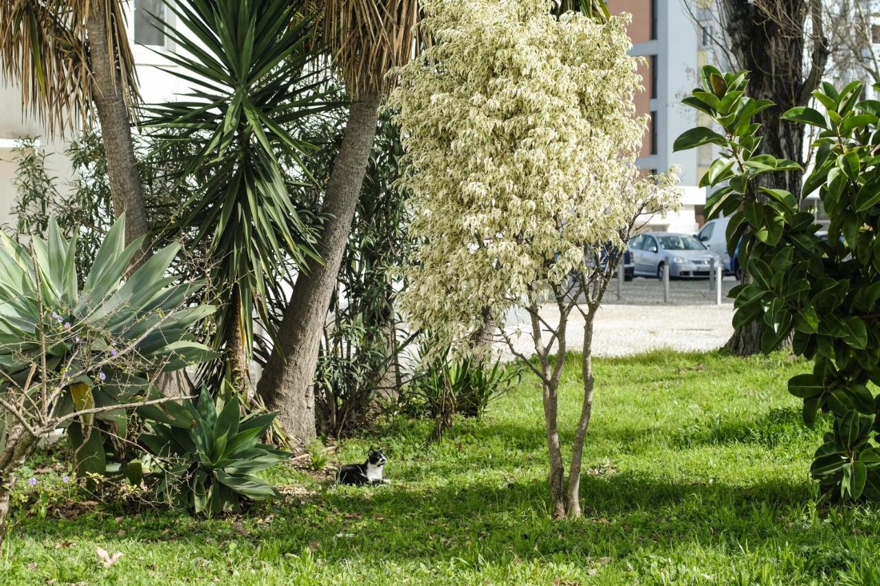 Olive Grove Apartment By Trip2Portugal Lisboa Extérieur photo