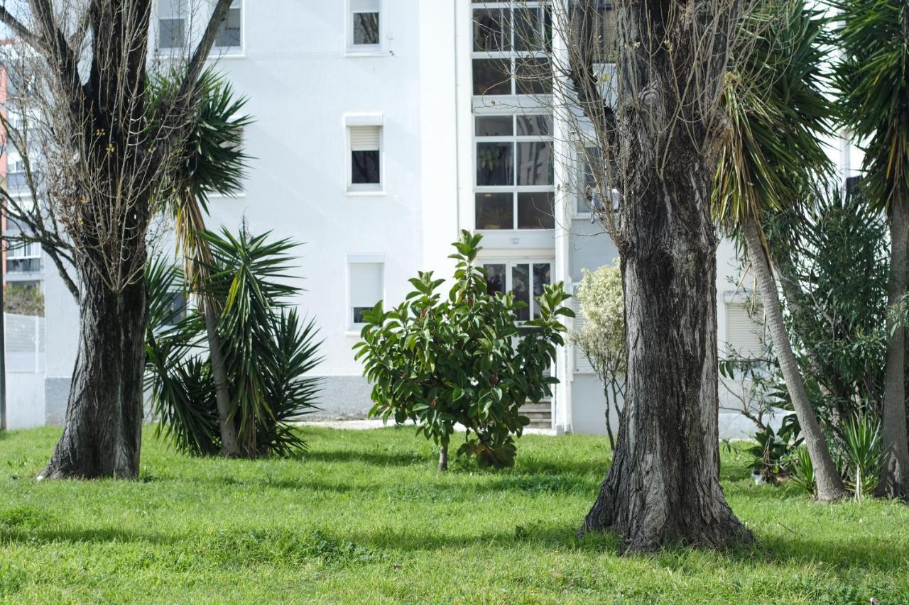 Olive Grove Apartment By Trip2Portugal Lisboa Extérieur photo
